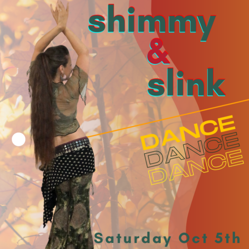 Shimmy & Slink Workshop