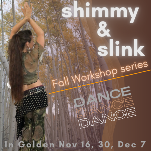 Shimmy & Slink Fall Workshop Series 2024