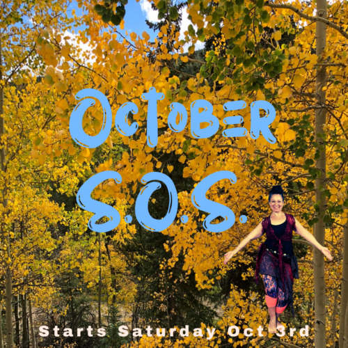 October 2026 Shimmy Off the Stress S.O.S.