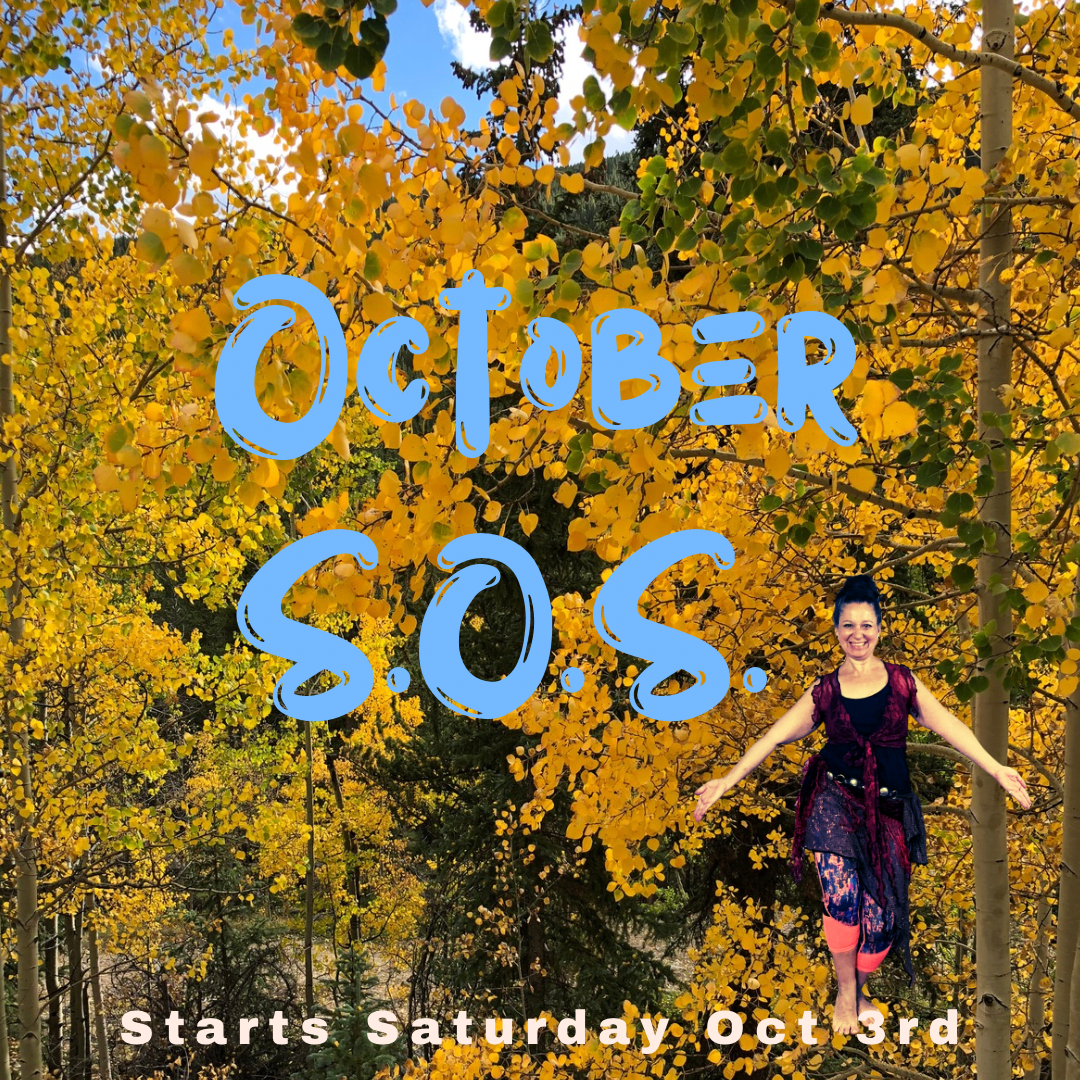 October 2026 Shimmy Off the Stress S.O.S.